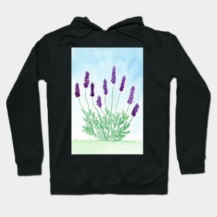 Lavender plant Hoodie